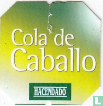 Cola de Caballo  