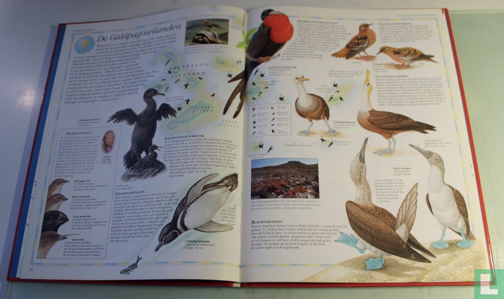 Alles over Vogels