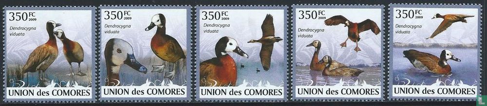 Le canard