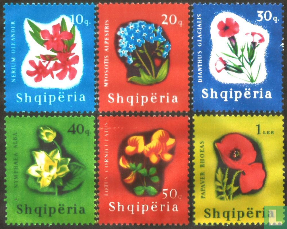 Bergblumen