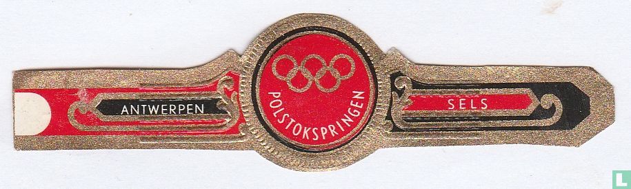 Polstokspringen