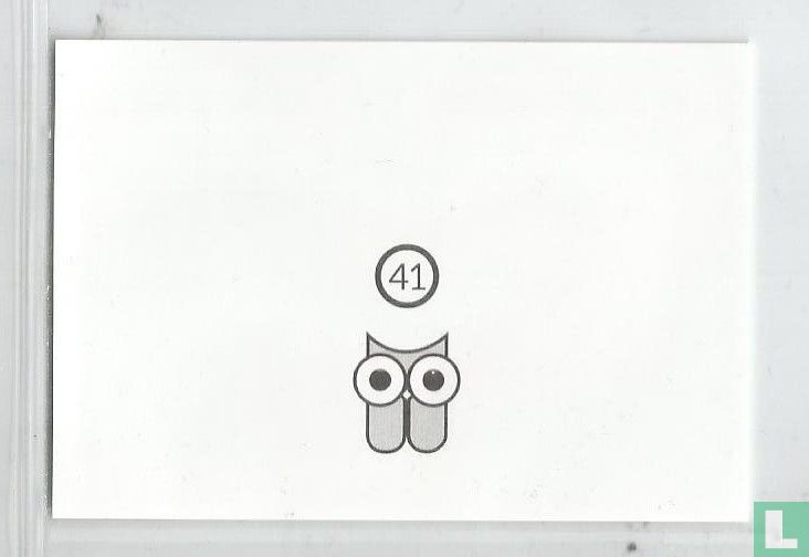 41