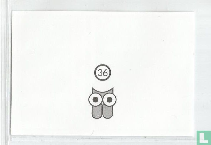 36