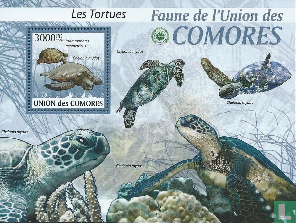Schildkröten