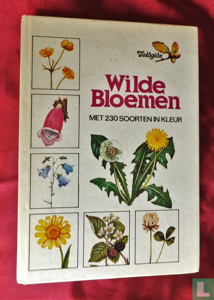 Veldgids wilde bloemen