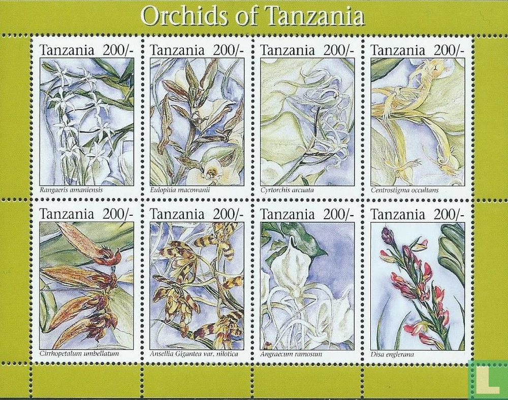 Orchids
