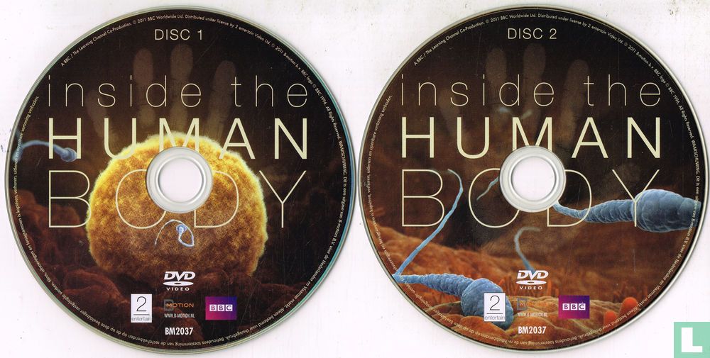 Inside the Human Body
