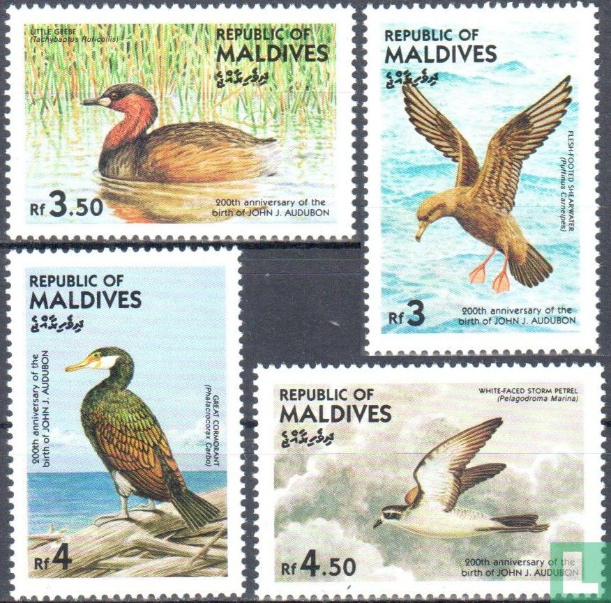 Oiseaux