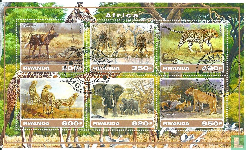 Animals