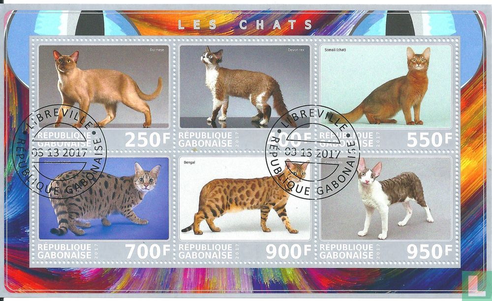 Chats