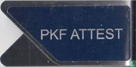 Pkf Attest