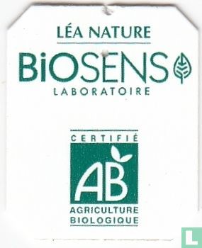 Élimination Ventre Plat