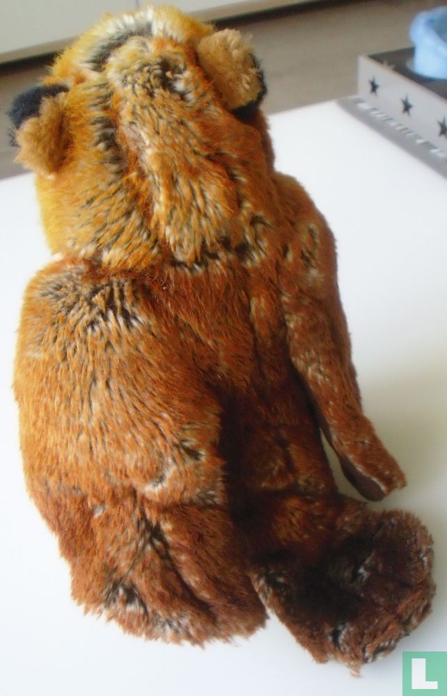 Uiltje ( roodbruin)  
