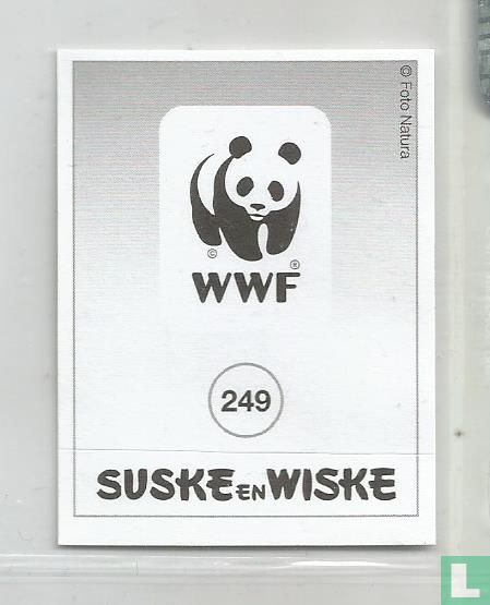 Wandelende tak