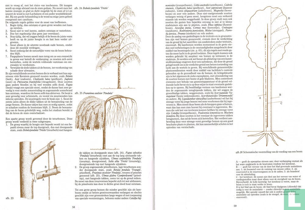 Handboek snoeien