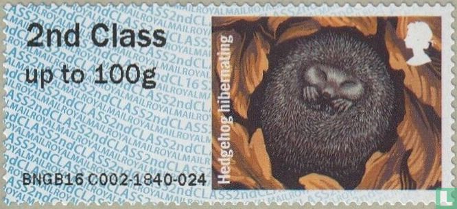 Europäischer Igel