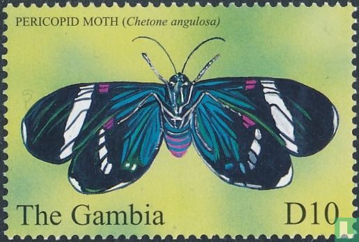 Moths  