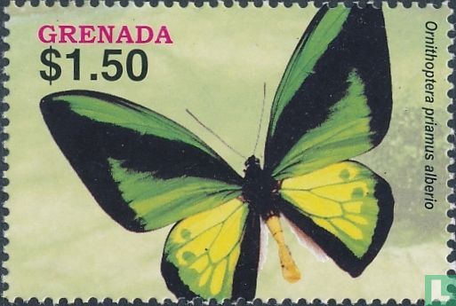 Butterflies  
