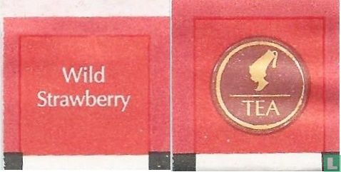 Wild Strawberry 