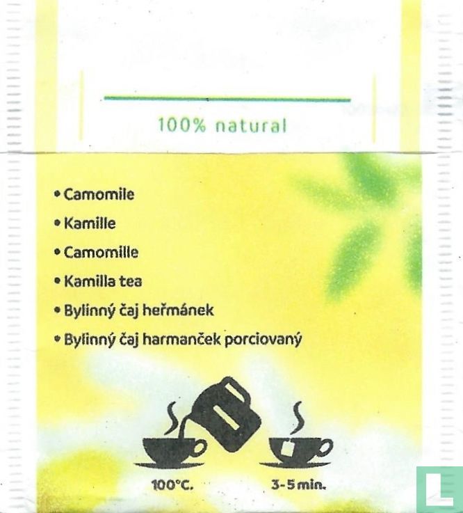 Camomile     