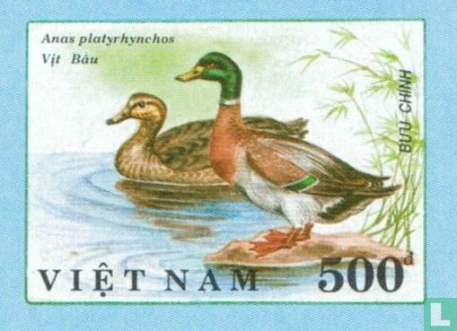 Canards