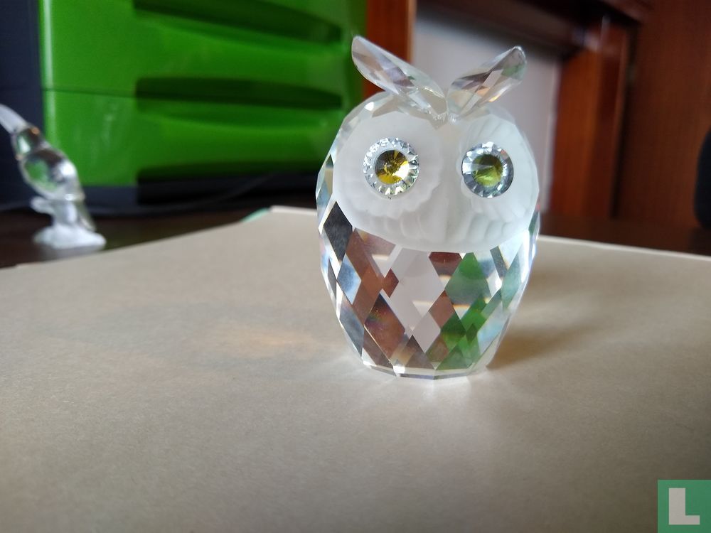 Owl