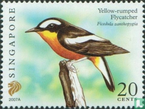 Oiseaux