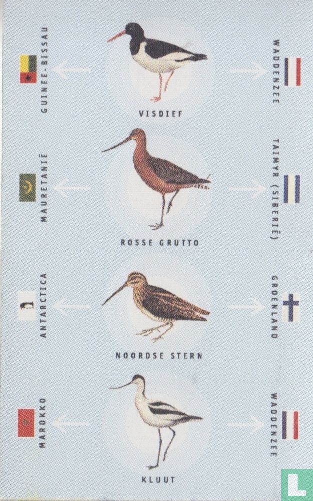 De Waddenvereniging