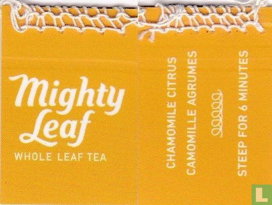 Chamomile Citrus