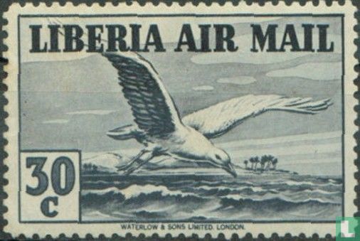 Oiseaux et avions