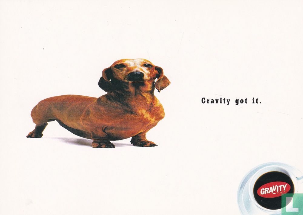 P242 - Gravity