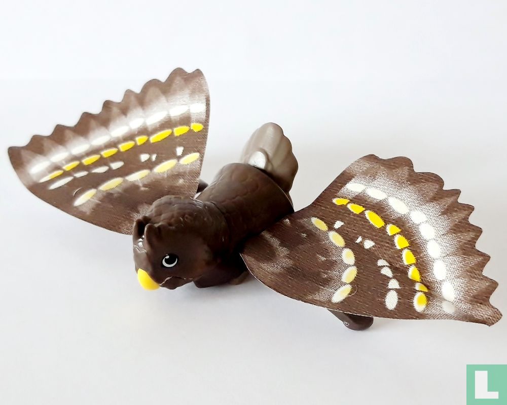 owl