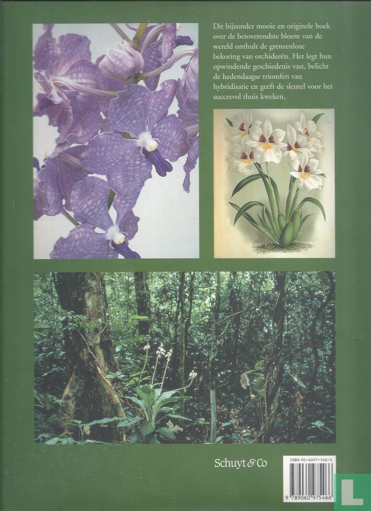 Orchideeën