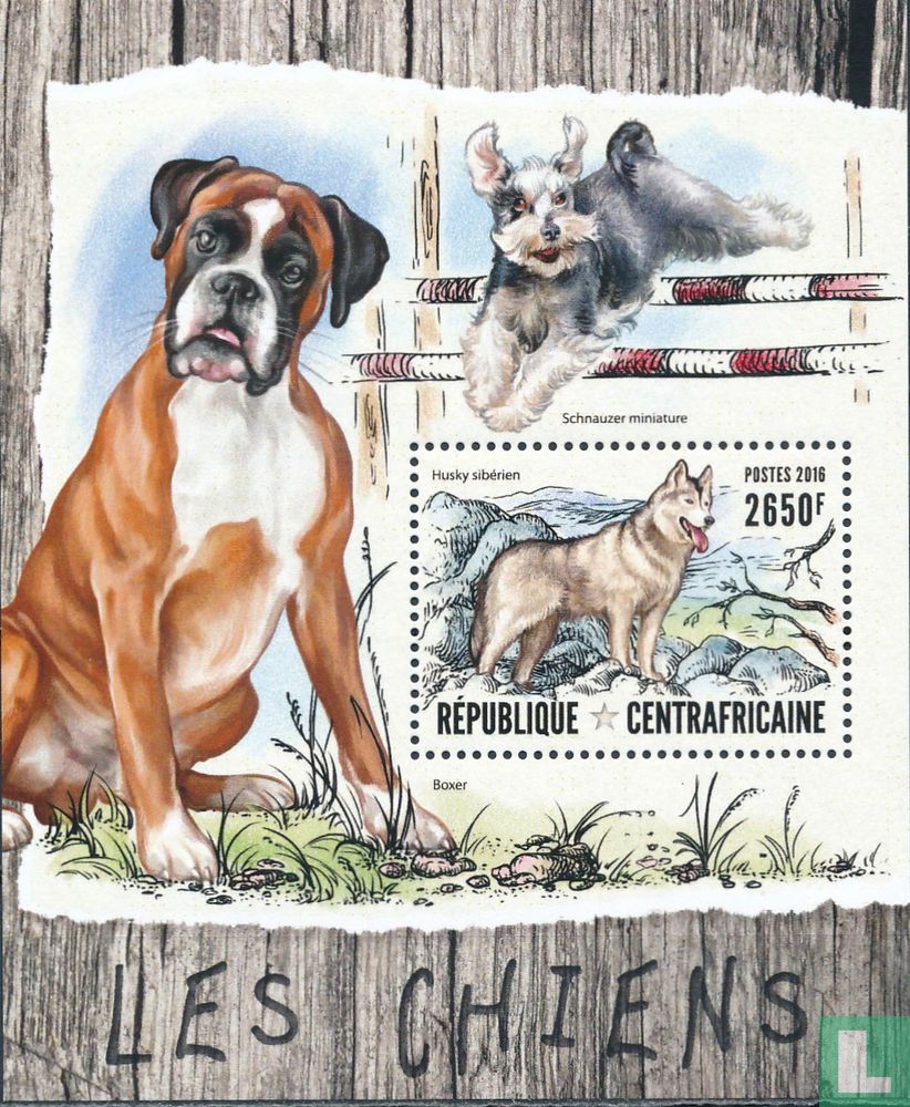 Chiens     