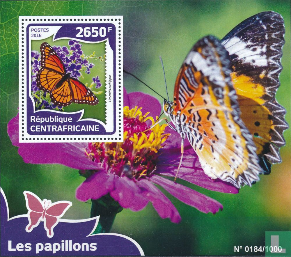 Butterflies