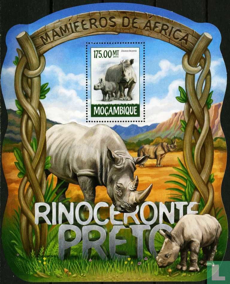 Rhinoceros