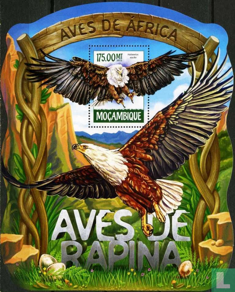 Oiseaux de proie
