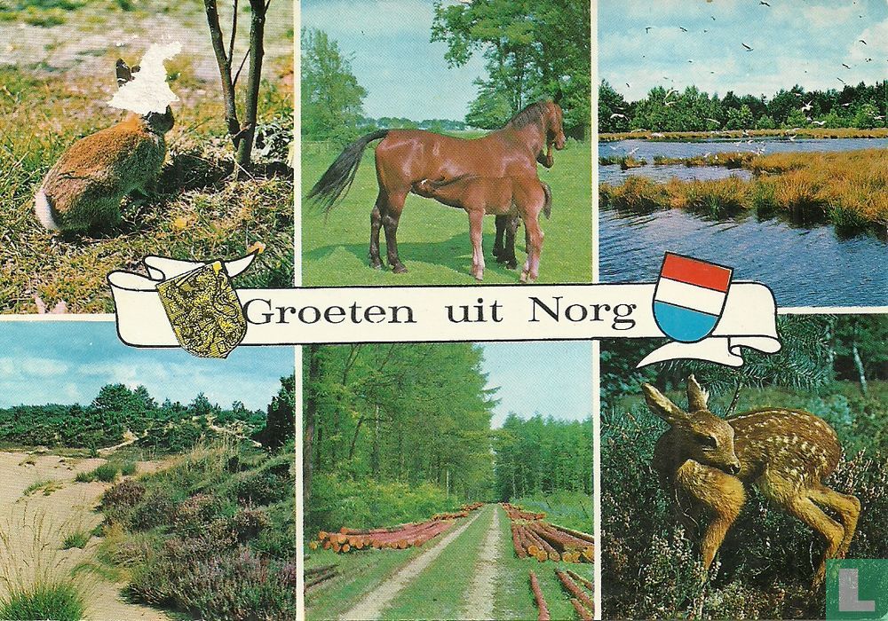Groeten uit Norg