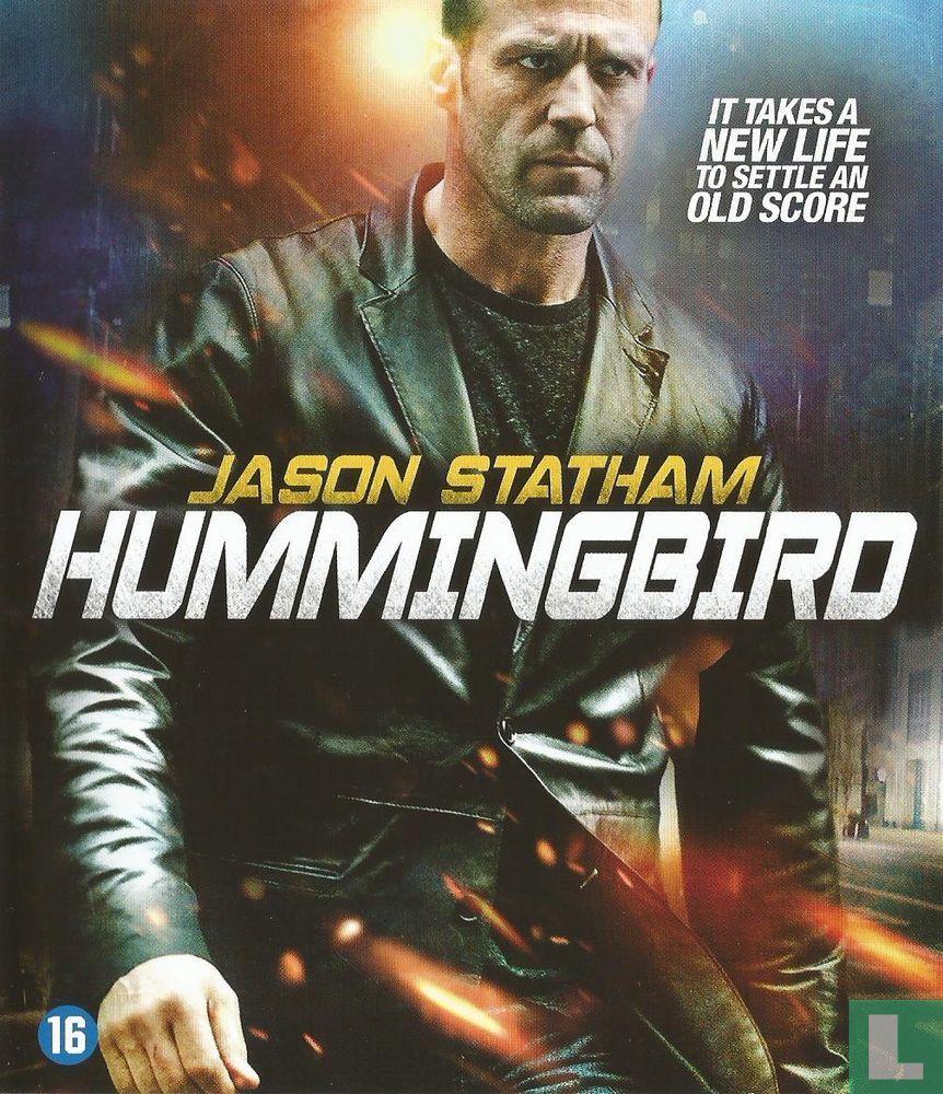 Hummingbird 