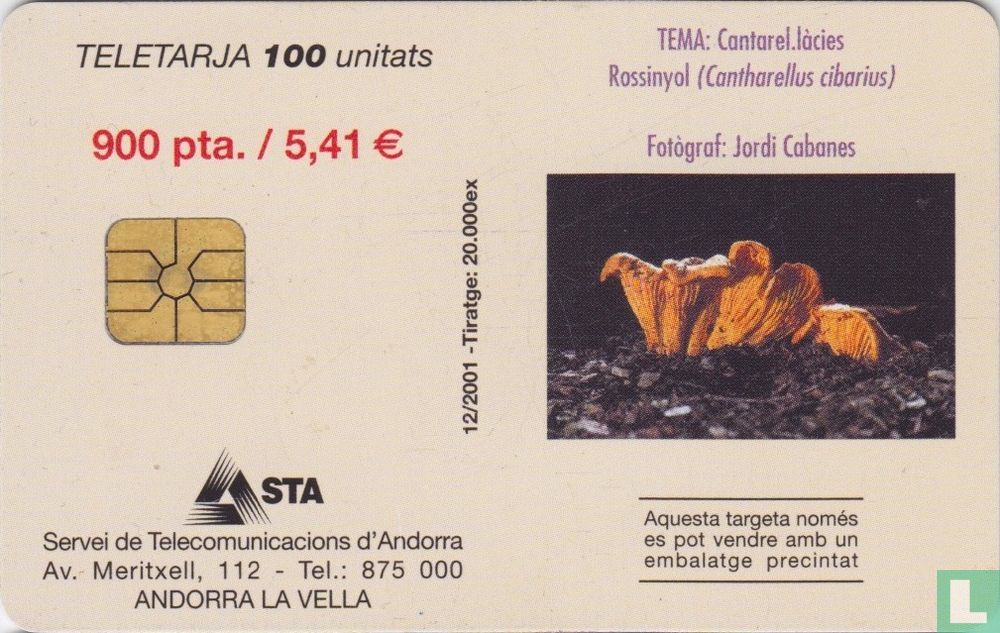 Cantarel.làcies Rossinyol (Cantharellus cibarius)