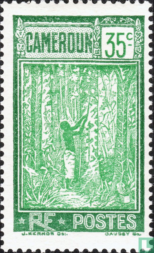 Kautschukernte