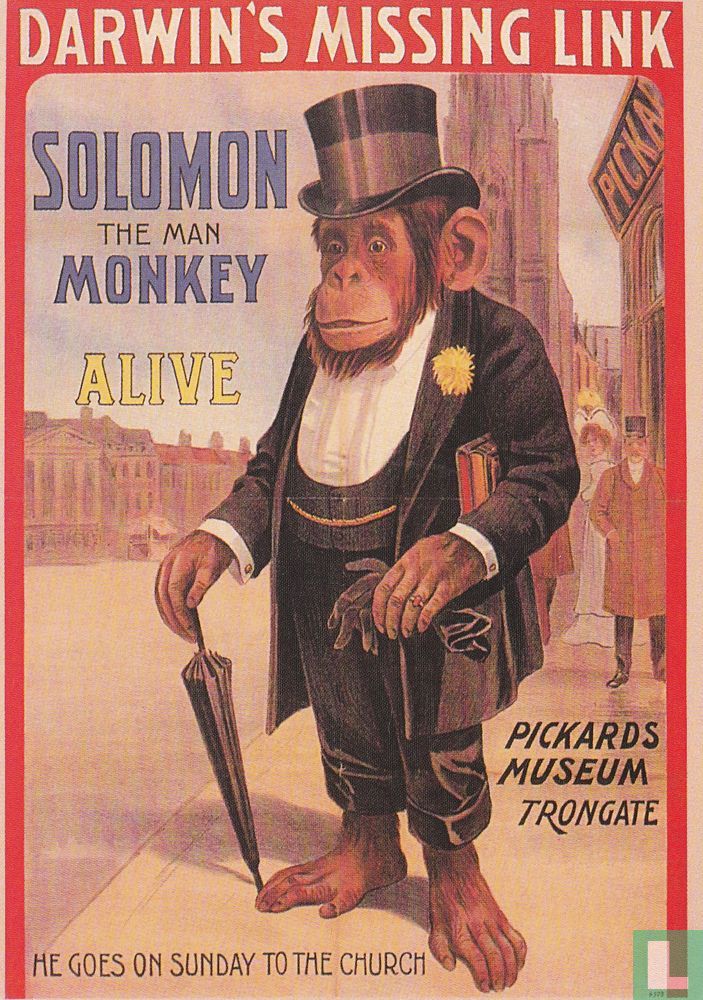 Darwin´s Missing Link Solomon the man monkey alive