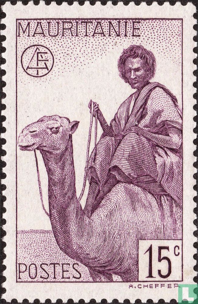 Kamelreiter