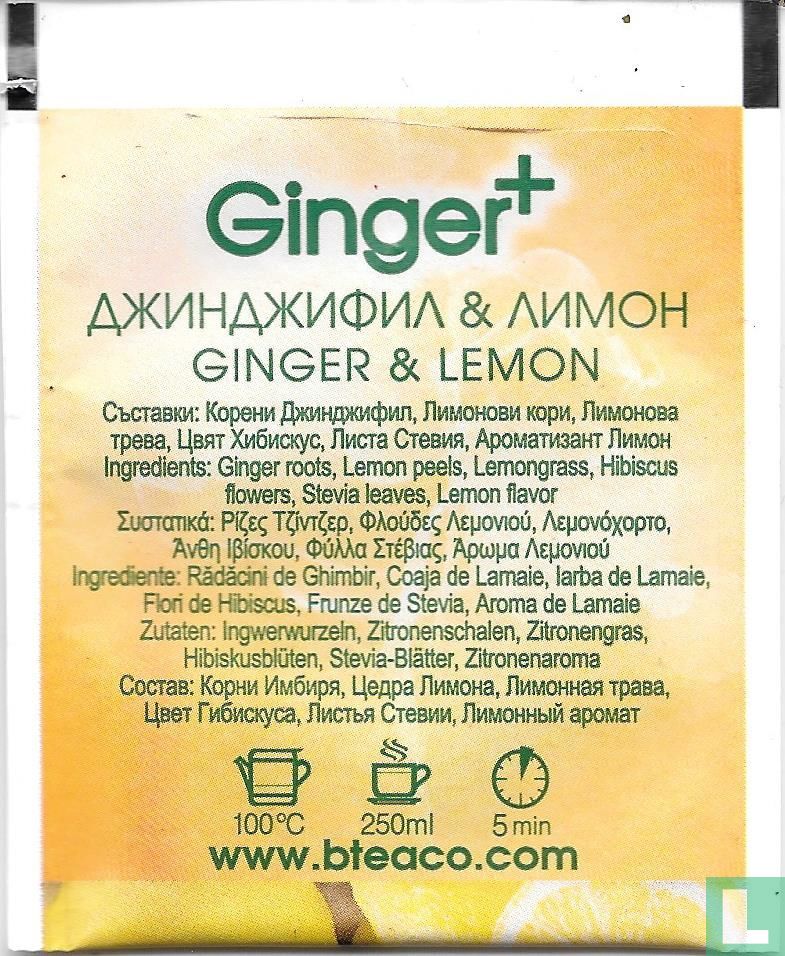 Ginger & Lemon 