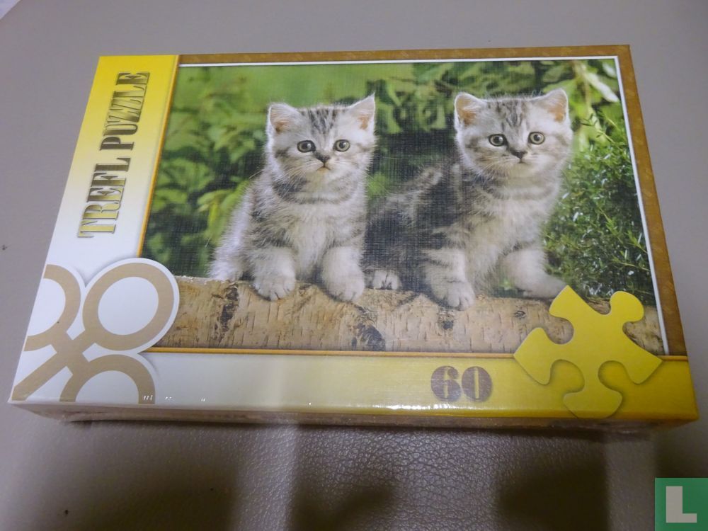 Kittens