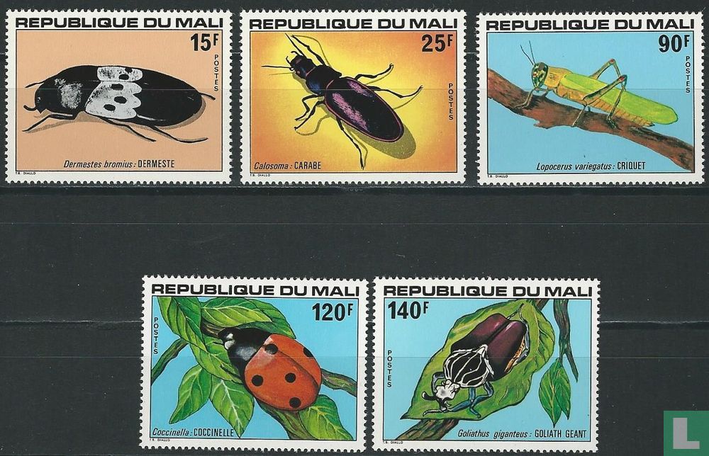 Insects