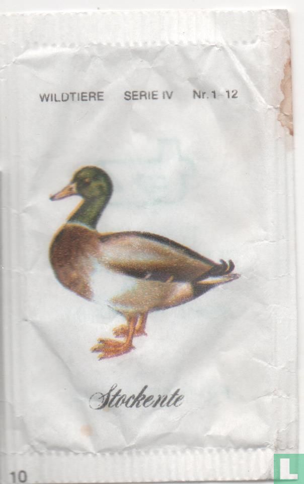 Stockente