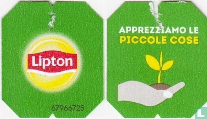 100% Tè Verde Certificato