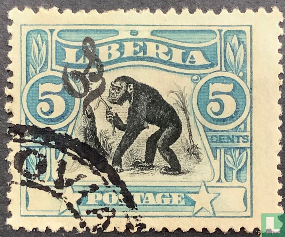Chimpanzee