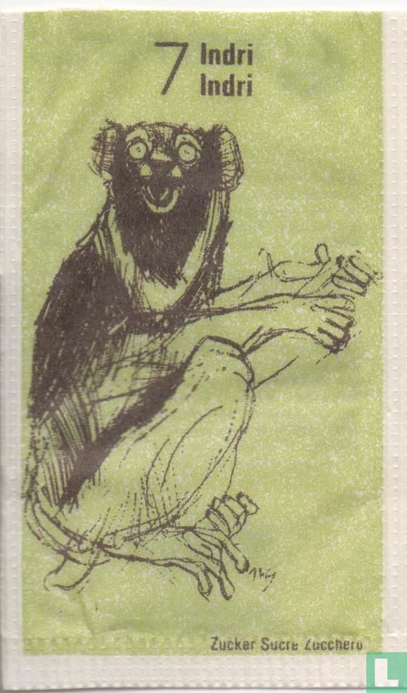 Indri - Indri